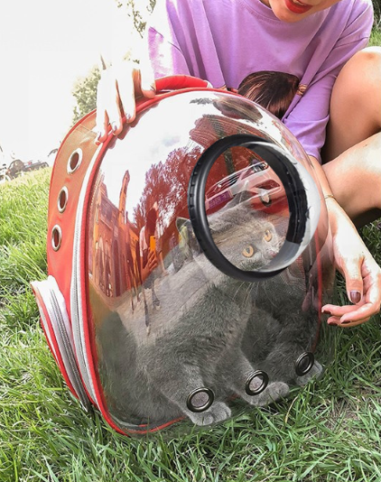 Pet Manufacturer Transparent Space Capsule Pet Backpack Carrier
